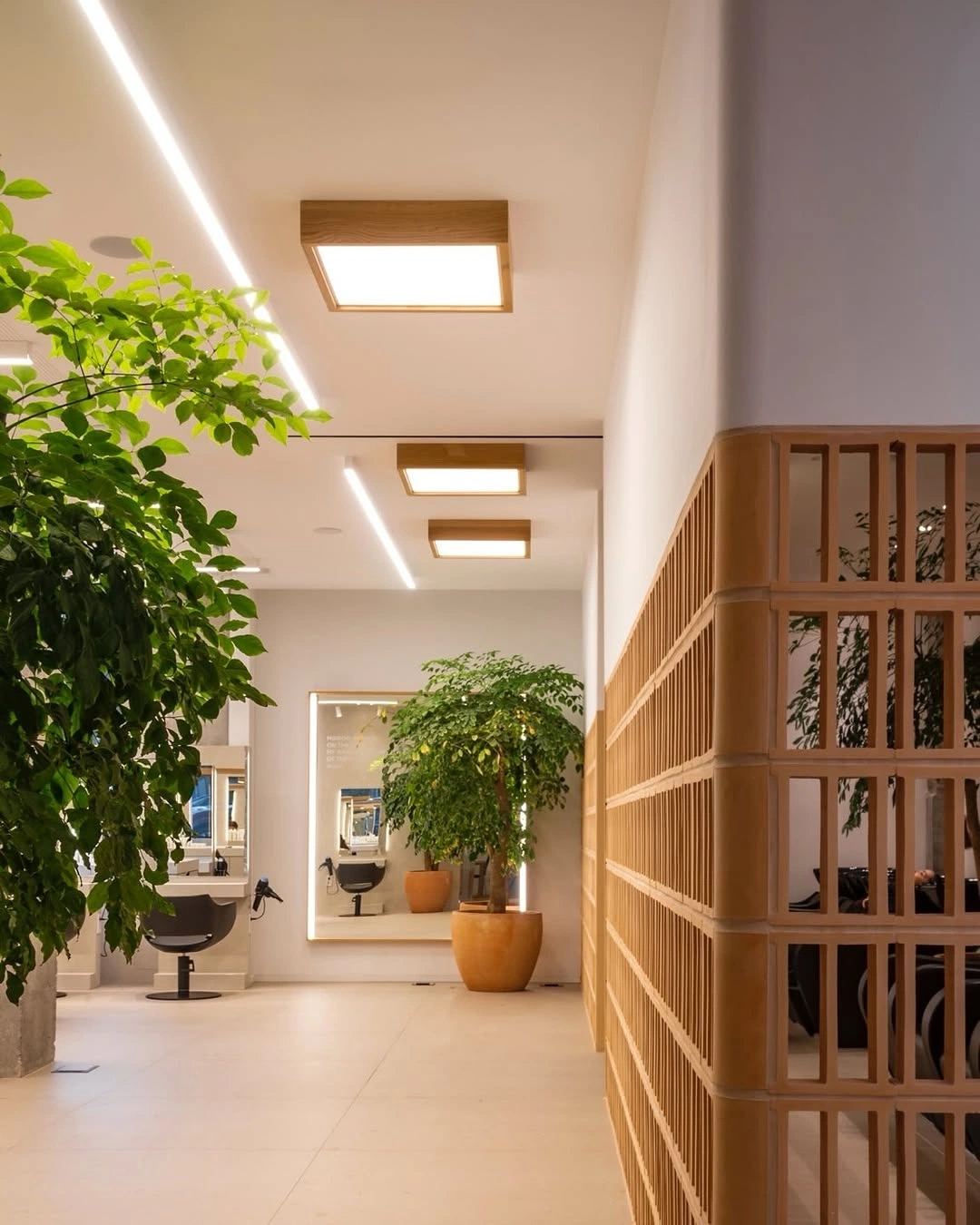 Private clinic garden